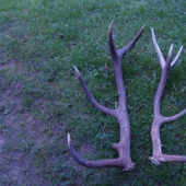 pracovná odmena po celom dni kontroly taúačou:)