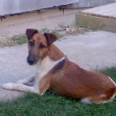 Egon