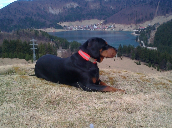 Zora a pohlad na Dedinky