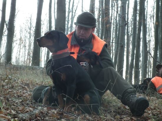 Cakame na dalsi pohon:Selce 2011