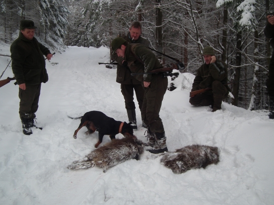 uspešne ukončenie sezony