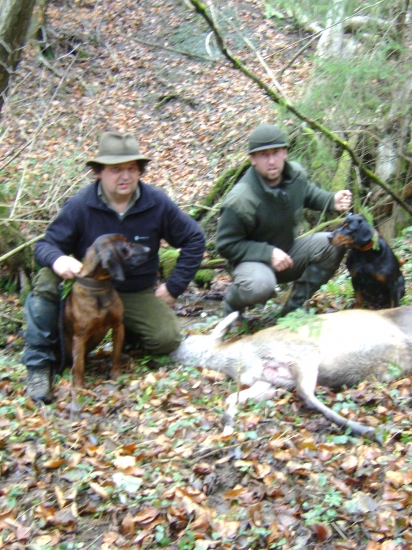 Rok 2010 jedna z uspesnych dohladavok(a hlavne spolupraca farbiara s kopovom)