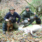 Rok 2010 jedna z uspesnych dohladavok(a hlavne spolupraca farbiara s kopovom)