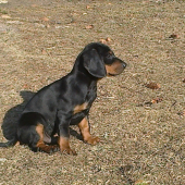 Novy clen PZ:-)