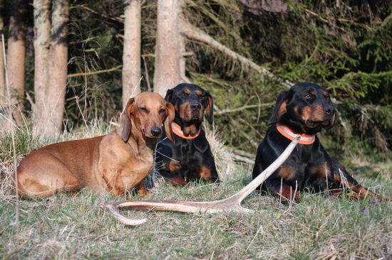 dnešná prechádzka