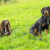 Odlozenie Olinka-Zora