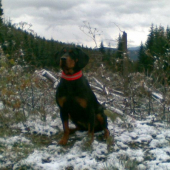 ZORA (v pozadi vysledok Vetrovej kalamity zo dna 12.10.2009)