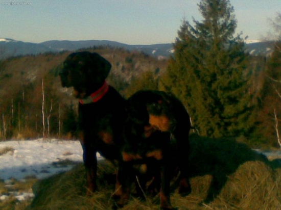 Zoznamovanie z revirom