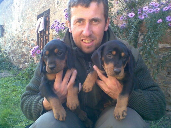 Nádejný duriči ( 7 týždňou)