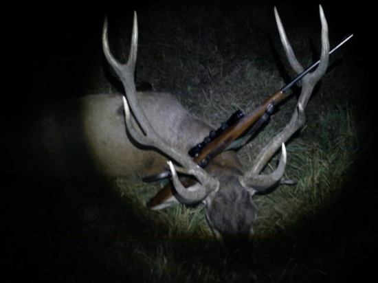 toho ročná 4 vek tr