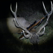 toho ročná 4 vek tr