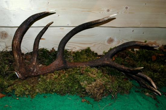 Pekná farebnosť II