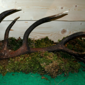 Pekná farebnosť II