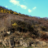 Jarné prebudenie Senderovho vrchu nad Zemplínskou šíravou