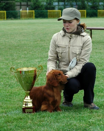 Celkový víťaz výstavy z ČR, DVORIANKY 2009