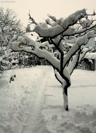 ..a jej včerajšie snehové kráľovstvo