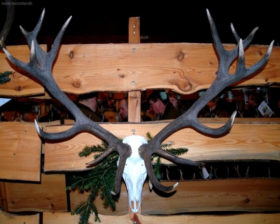 Chovateľská prehliadka SO, MI, TV 09, 200,66 CIC, 12 rokov