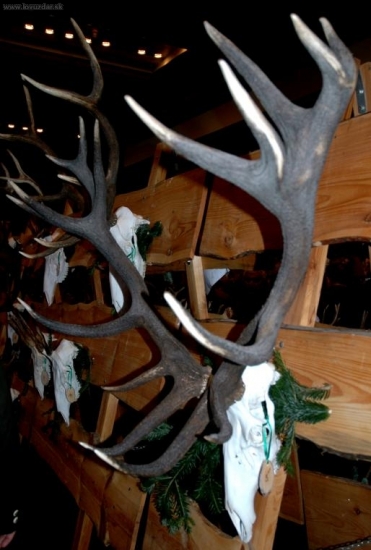 Chovateľská prehliadka SO, MI, TV 09, 200,66 CIC, 12 rokov