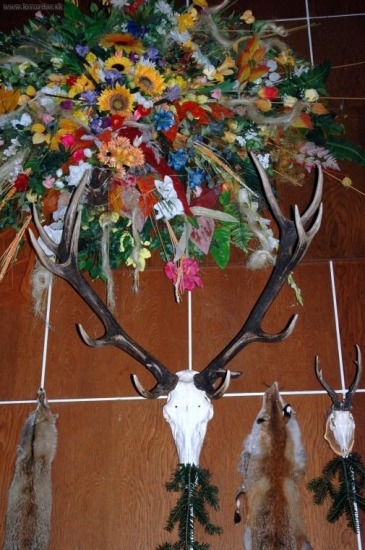 Náš ples PZ ERENA BEŠA