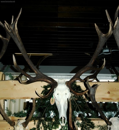 Chovateľská výstava okresov MI, TV, SO 2010