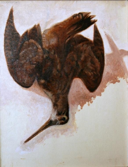 Z histórie zemplínskeho poľovníctva, ZVM Trebišov