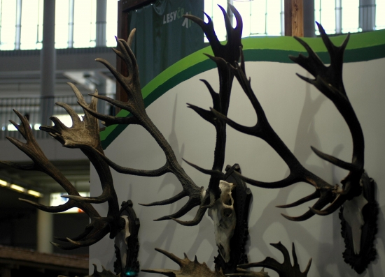 Český národný rekord z roku 2007