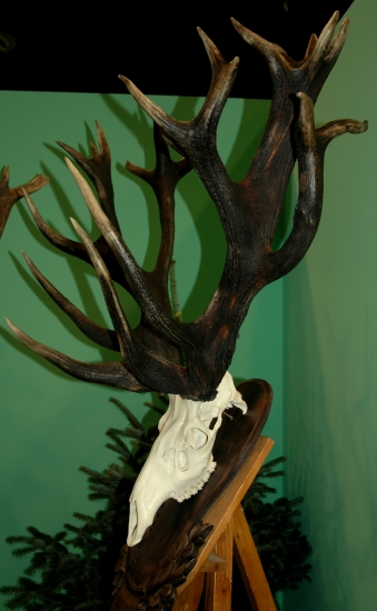 Vraj z voľnej prírody