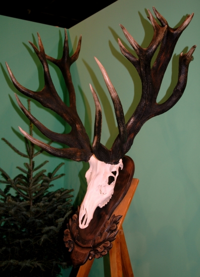 Vraj z voľnej prírody II