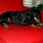 Doliečovanie II
