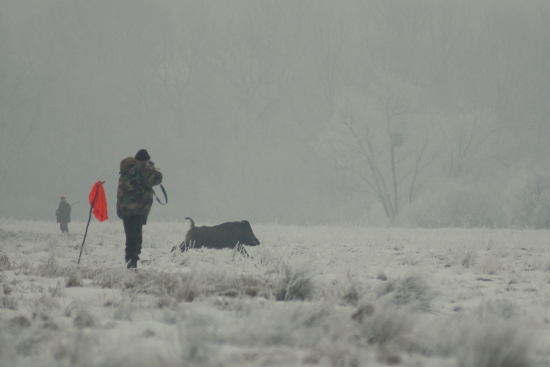 Nácvik pripravenosti