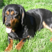 Môj najvernejší pomocník