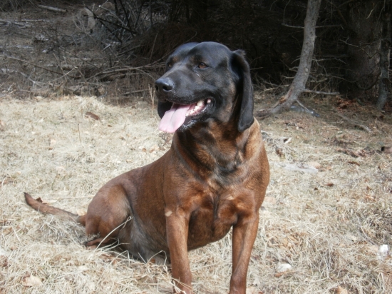 Jago Dravecká dolina