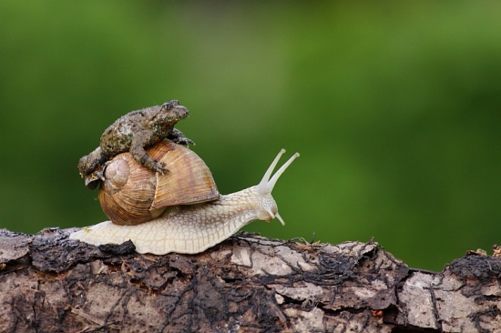 Pridaj k rybníčku, už ho vidím :)