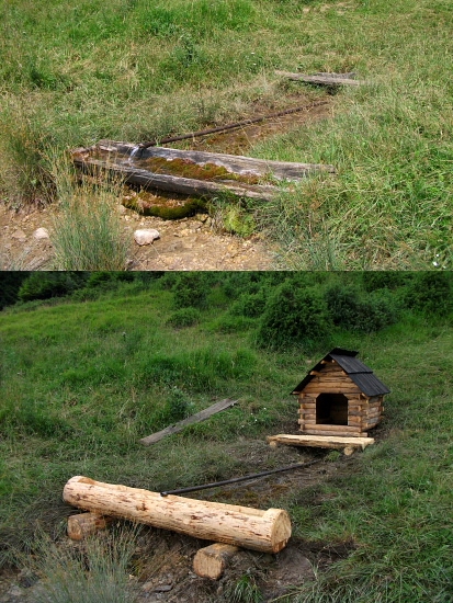 Pramienok pred, a po úprave