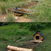 Pramienok pred, a po úprave