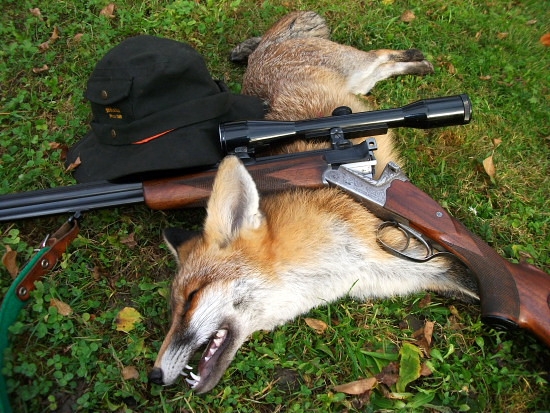 Sauer pokrstený
