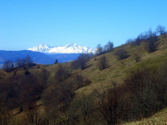 Pohlad na Belianské Tatry