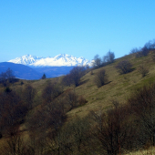 Pohlad na Belianské Tatry
