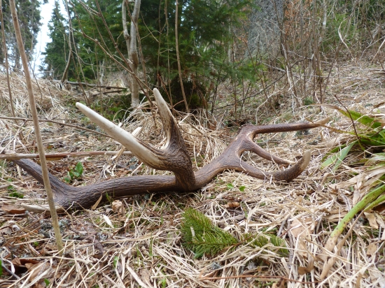 aj tento potešil:))))