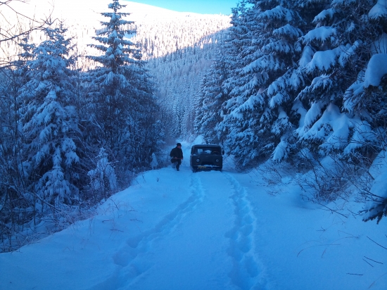 a ide sa prikrmovať:))