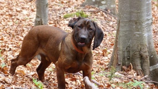 dnešná prechádzka