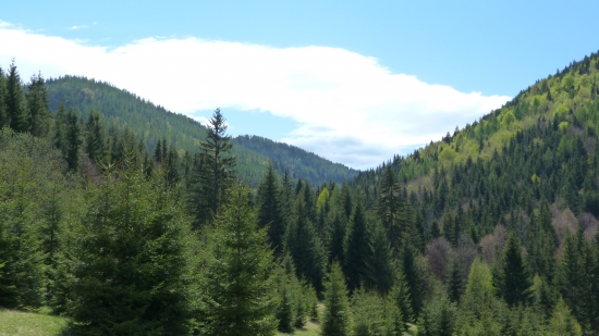 Havrania Dolina