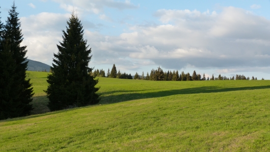 zaliate slnkom