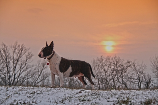 D.D.D. (dobrá durička Donka :-) )