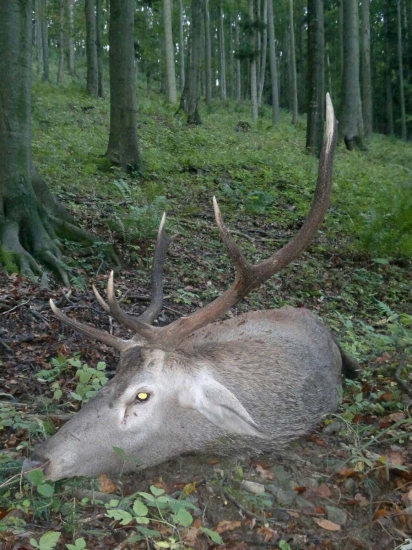 Natroubený...