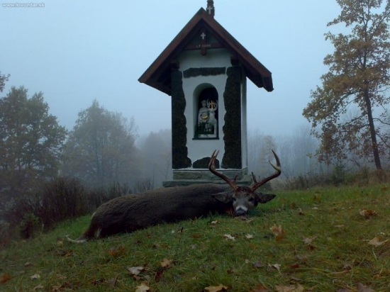 Úlovek k šedesátinám .....