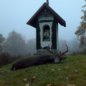 Úlovek k šedesátinám .....