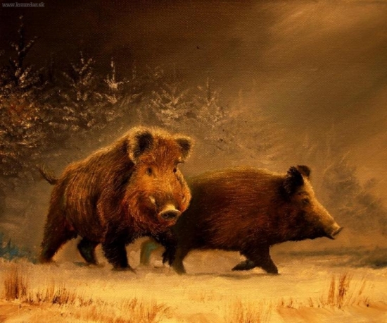 Divoké prase Karbous (s bráškou)