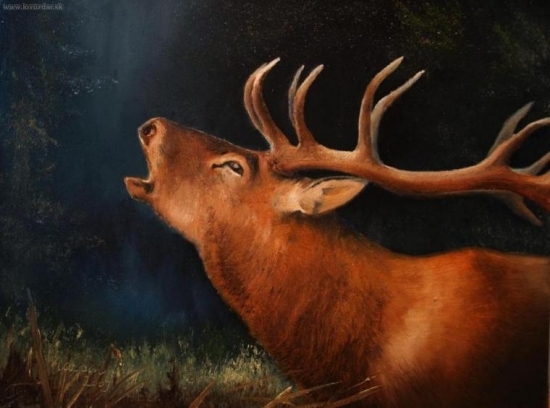 Troubení - olej 30x40