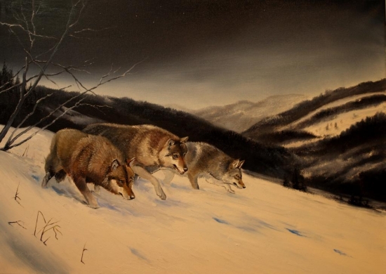 Svobodný běh nocí